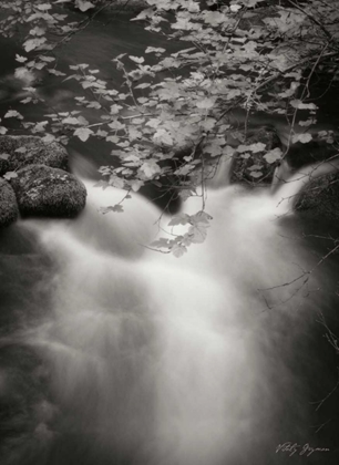 Picture of FLOWING WATERS III