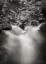Picture of FLOWING WATERS III