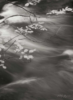 Picture of FLOWING WATERS IV