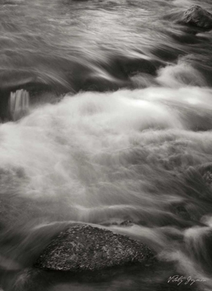 Picture of FLOWING WATERS V