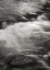 Picture of FLOWING WATERS V