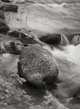 Picture of FLOWING WATERS VI