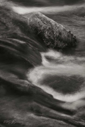 Picture of FLOWING WATERS VII