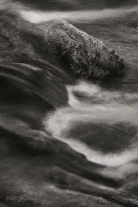 Picture of FLOWING WATERS VII