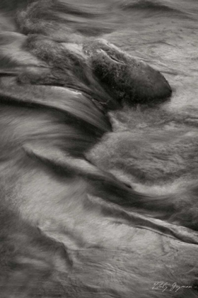 Picture of FLOWING WATERS VIII