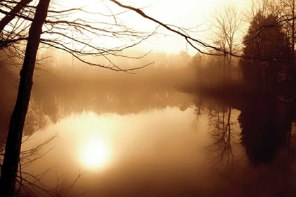 Picture of FOG ON SHELLY LAKE II