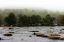 Picture of THE FAR SHORE