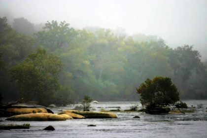 Picture of EARLY MORNING RIVER