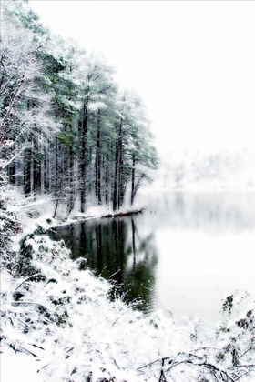 Picture of SHELLY LAKE IN WINTER II