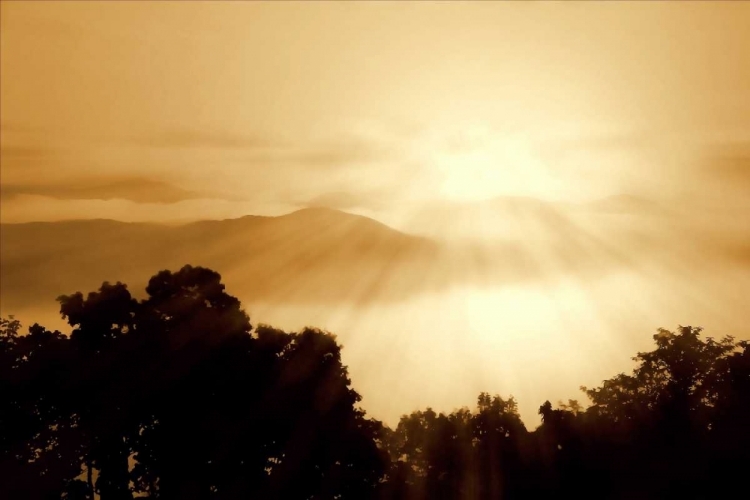 Picture of DISTANT MOUNTAINS I