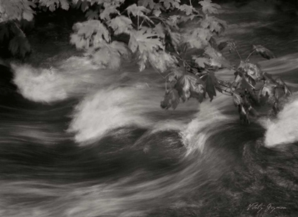 Picture of FLOWING WATERS X