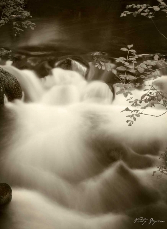 Picture of SEPIA WATERS I
