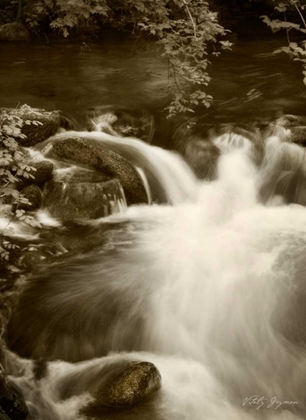 Picture of SEPIA WATERS III
