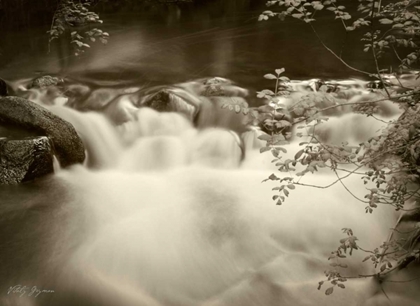 Picture of SEPIA WATERS IV