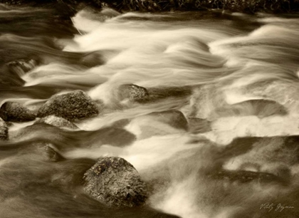 Picture of SEPIA WATERS V