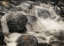 Picture of SILVER FALLS I