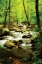 Picture of WHITE OAK RIVER I