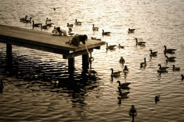 Picture of FEEDING THE GEESE II