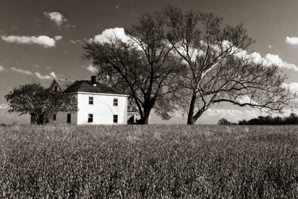 Picture of HOUSE ON MALVERN HILL