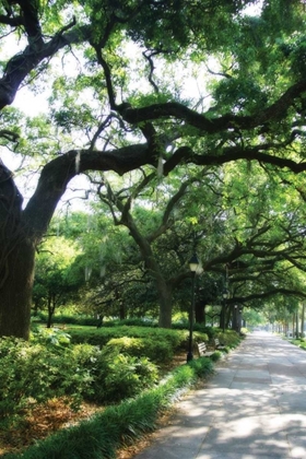 Picture of SAVANNAH SIDEWALK II