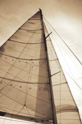 Picture of BEAUFORT SAILS I