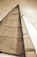 Picture of BEAUFORT SAILS I