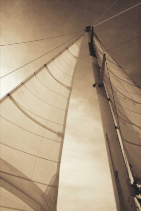 Picture of BEAUFORT SAILS II