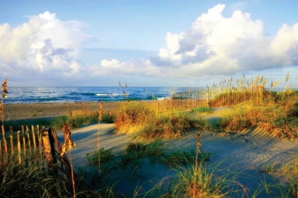 Picture of DUNES II