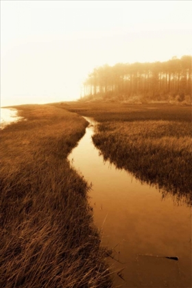 Picture of HARKERS ISLAND MARSH I