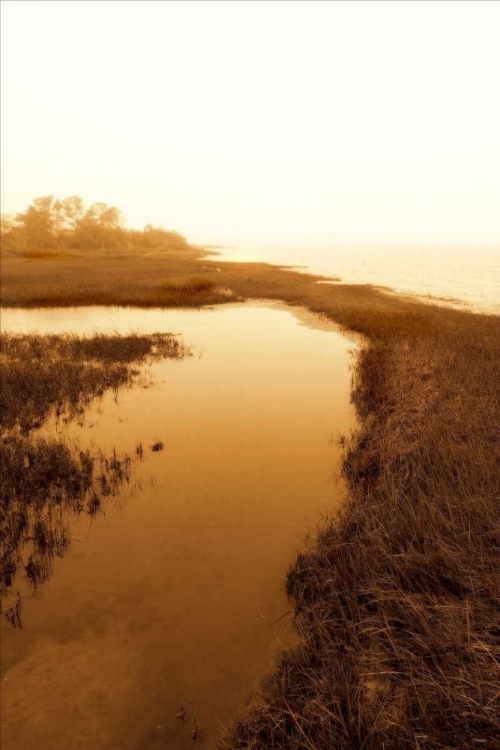 Picture of HARKERS ISLAND MARSH II