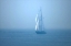 Picture of VIRGINIA