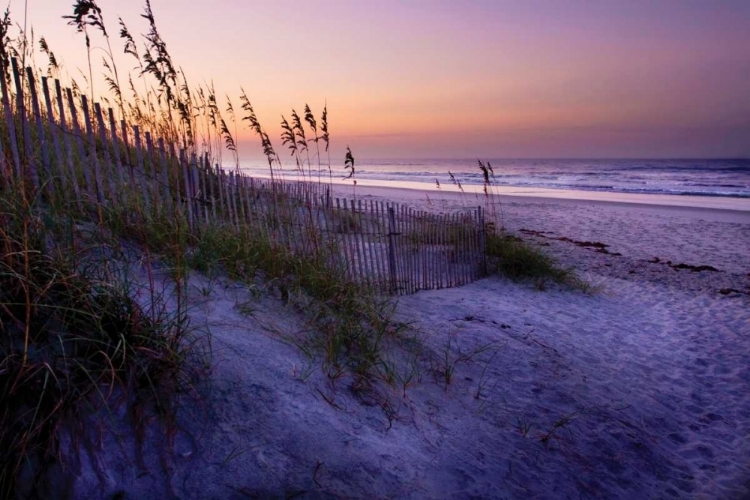 Picture of LAVENDER BEACH I