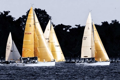 Picture of RACE AT ANNAPOLIS V