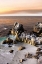 Picture of LOVERS POINT SUNSET V