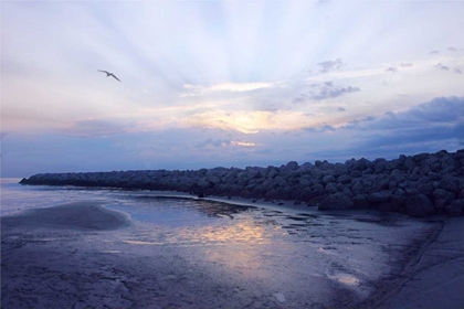 Picture of CEDAR ISLAND SUNRISE