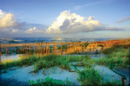 Picture of DUNES I