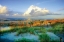 Picture of DUNES I