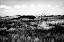 Picture of BEAR ISLAND I