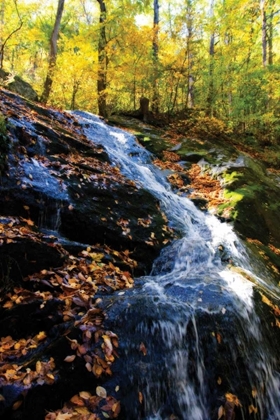 Picture of AUTUMN WATERFALL I