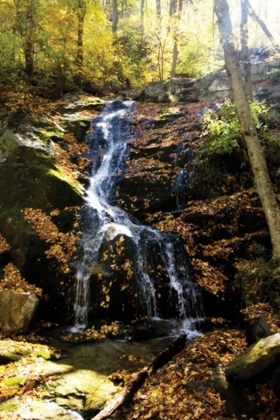 Picture of AUTUMN WATERFALL II