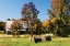 Picture of AUTUMN SCENE I