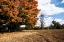 Picture of AUTUMN SCENE II