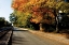 Picture of ASHLAND