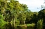 Picture of SILVER RIVER VI