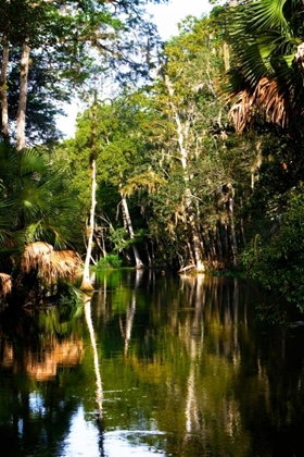 Picture of WINDING RIVER I