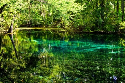 Picture of CLEAR SPRING WATERS I