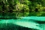 Picture of CLEAR SPRING WATERS II