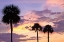 Picture of SAN MARCOS SUNSET IV