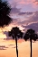 Picture of SAN MARCOS SUNSET V