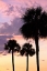 Picture of SAN MARCOS SUNSET VI